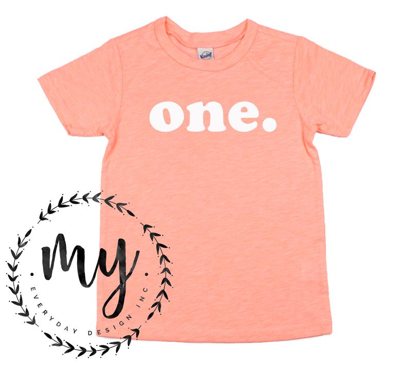 First Birthday Shirt, One Shirt, Gender Neutral Birthday Shirt, ANY number, MANY colors, MANY sizes