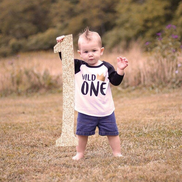King of the Wild, Queen of the Wild, Wild One Birthday Shirt, First Birthday Shirt